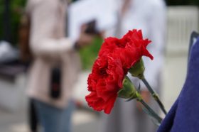 Полную программу активностей ко Дню Победы в столичных экоцентрах опубликовали на сайте мэра Москвы. Фото: Анна Быкова, «Вечерняя Москва»