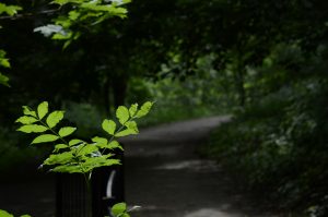 Сотрудники  ЩЛЗ поделились информацией  о внедрении экологических технологий на предприятии. Фото: Анна Быкова, «Вечерняя Москва»