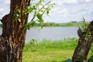 Проверки качества воздуха прошли в Щербинке. Фото: Анна Быкова, «Вечерняя Москва»