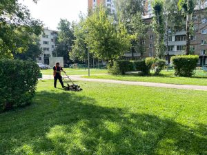 Зеленые зоны Щербинки привели в порядок. Фото предоставили ГБУ сотрудники ГБУ «Жилищник района Щербинка»