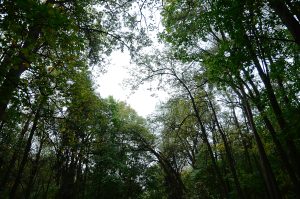 Проверки качества воздуха прошли в Щербинке. Фото: Анна Быкова, «Вечерняя Москва»