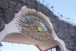 От панд до сурикатов: кого можно увидеть на странице онлайн-трансляций из Московского зоопарка. Фото: Ксения Догонашева, «Вечерняя Москва»