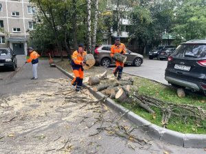 Сотрудники ГБУ «Жилищник района Щербинка» привели в порядок зеленые территории в Щербинке. Фото предоставил сотрудник ГБУ «Жилищник района Щербинка»