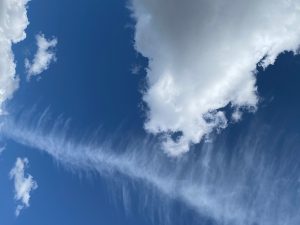 Атмосферный воздух проверили на загрязненность в районе Щербинка. Фото: Анна Быкова, «Вечерняя Москва»